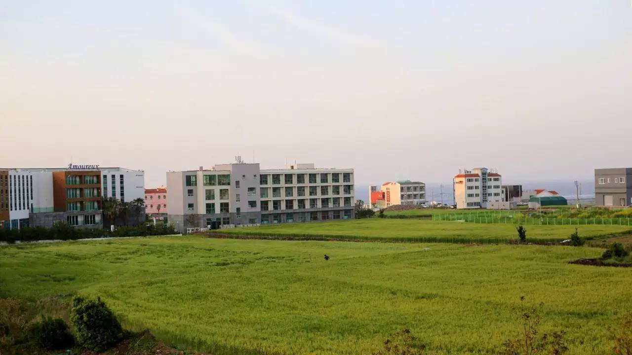 全过程记录，揭秘廉价济州岛跟团游背后的真相