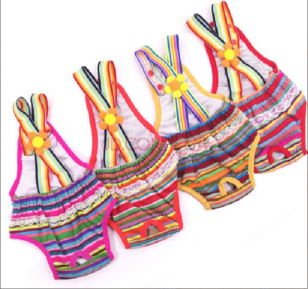 狗狗来“大姨妈”的时候，该如何照顾她呢？