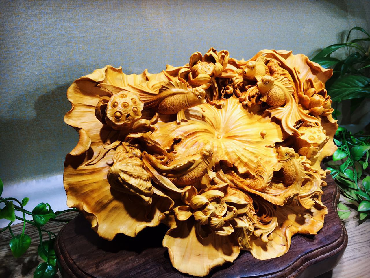 黄杨木集天地之精华木质细腻可做雕刻品