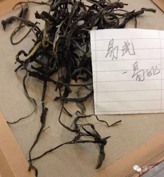 易武普洱茶特点和口感,易武普洱茶常识15条