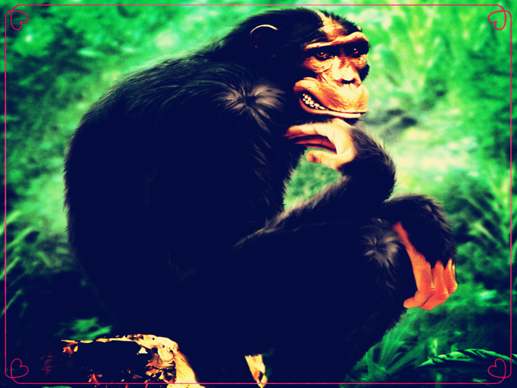 随笔文学,随笔深度思考