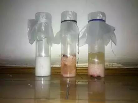 科普传说母乳是血液转化成的这是真的吗?