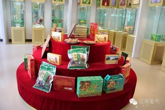 一天时间，陇南电商观摩组看了什么”点“？取了哪些”经“？