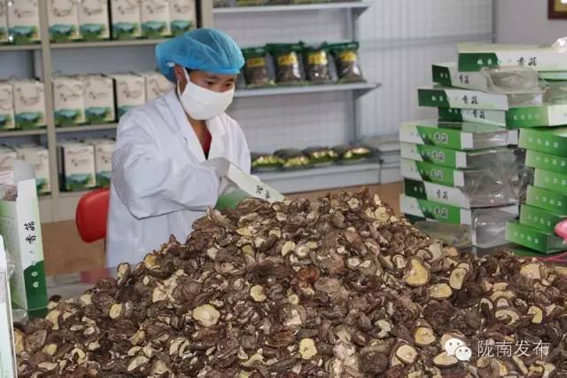 一天时间，陇南电商观摩组看了什么”点“？取了哪些”经“？