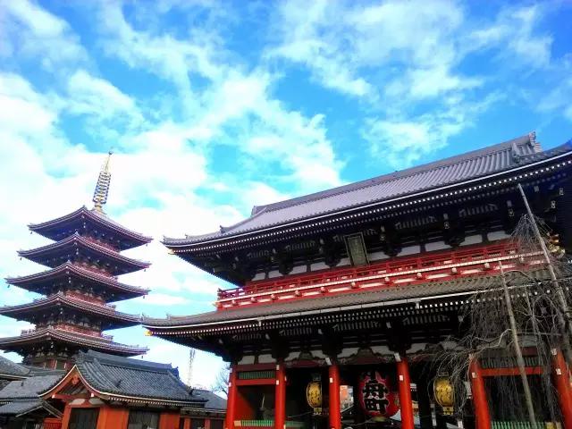 曼莉专栏｜葡萄*妞小**随妈游日本