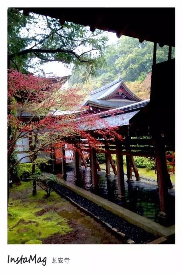 曼莉专栏｜葡萄*妞小**随妈游日本