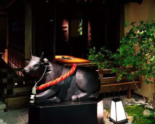 曼莉专栏｜葡萄*妞小**随妈游日本