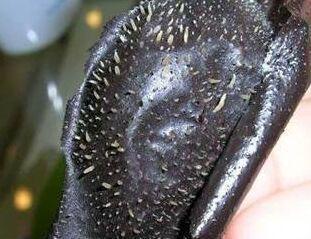 补水控油最有效 (补水控油的最佳方法)