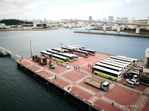 珊瑚海日本,陪你去看海底世界