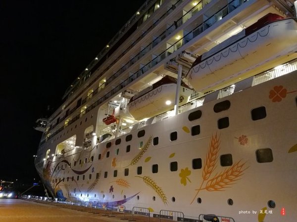 珊瑚海日本,陪你去看海底世界