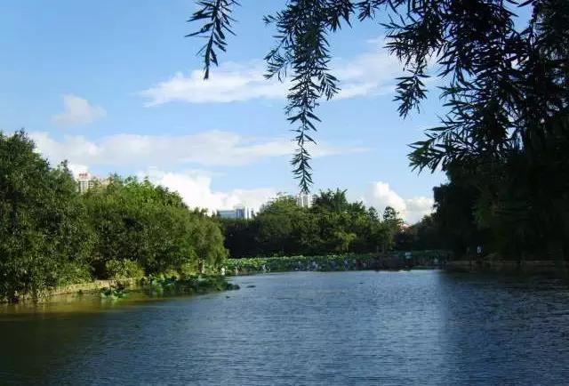 深圳看海公园推荐,深圳哪个湖最好玩又漂亮