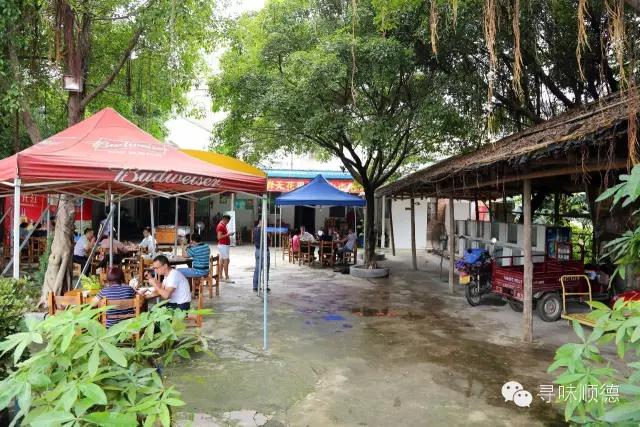 吃正宗清远鸡阳山,正宗阳山清远鸡