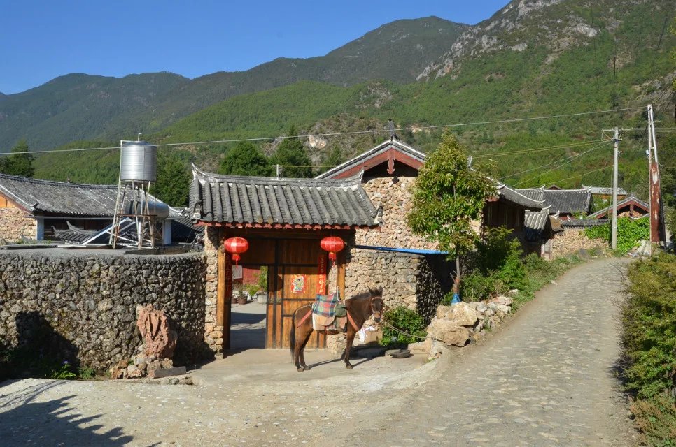 云南有三宝是什么东西,云南有三宝吗