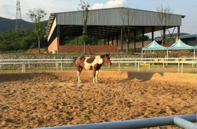 南京这些地方比KTV好玩百倍,99%的人不知道!