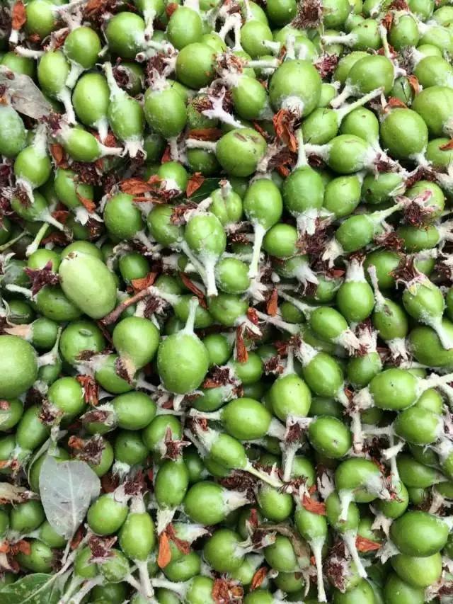 水果蘸着盐巴、辣椒吃,泡酒喝,云南人吃水果的姿势太丰富多彩了