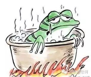 渔具电商行业的现状和前景,渔具行业跨境电商发展现状