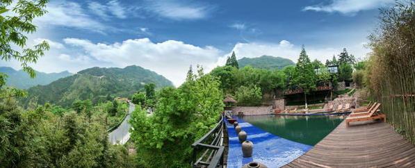 安吉山顶老树林,浙江安吉老树林