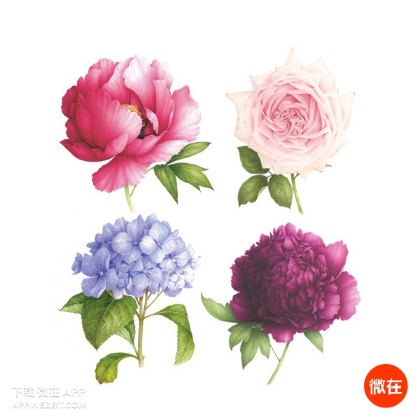 欧美风纹身贴推荐,简单且复古的纹身贴