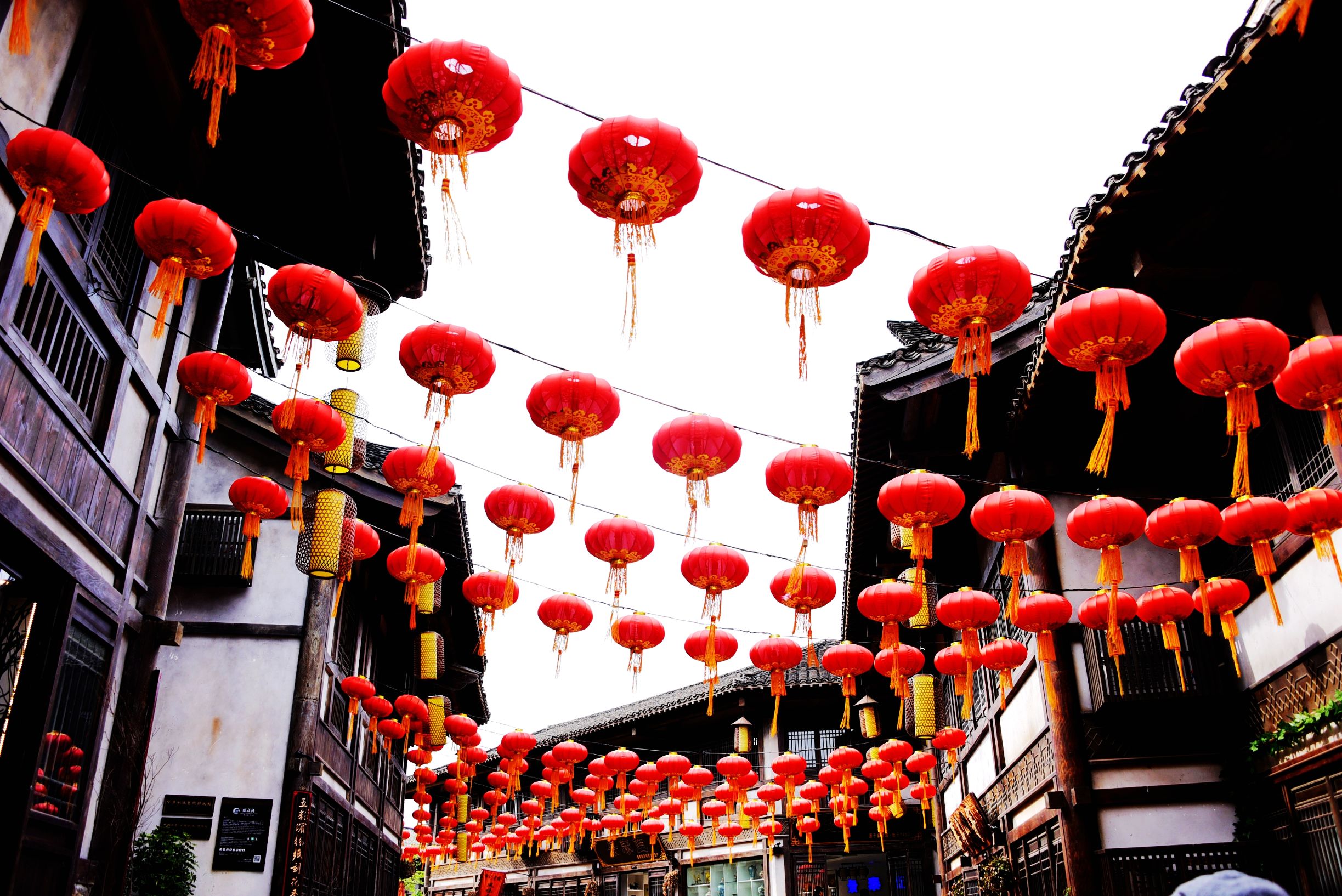 梦入桃花源现代版,梦入桃花源完整版