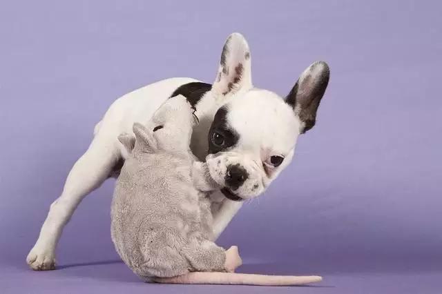 宜家不建议买什么,宜家装修干货