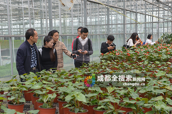 成都都江堰市达人探店,都江堰旅游达人