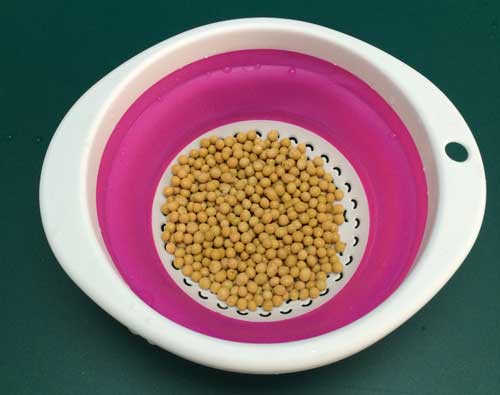 美的破壁豆浆机真实评测,美的豆浆机静音测评推荐