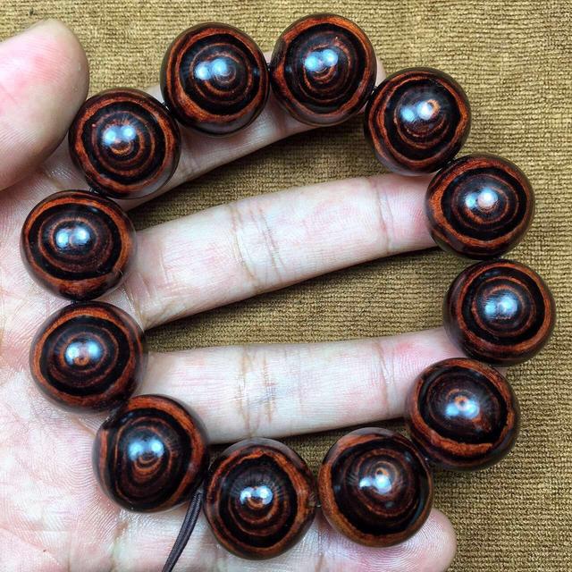 紫檀柳和海黄价钱差距,紫檀柳和海黄是一个品种吗