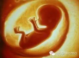 孕33周脐带绕颈一周矫正方法,孕期哪些习惯会导致脐带绕颈