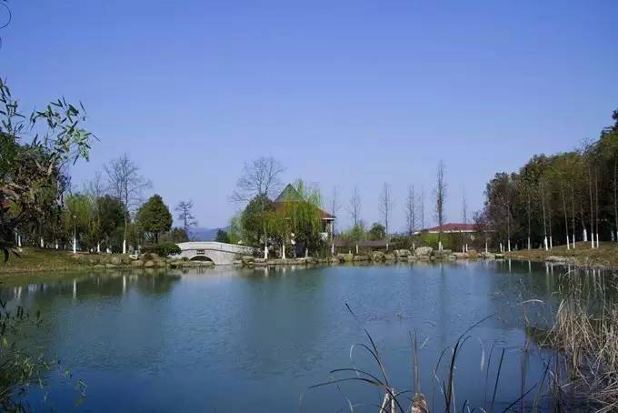 五一好去处~除了竹海善卷洞,宜兴的这些地方也很美~