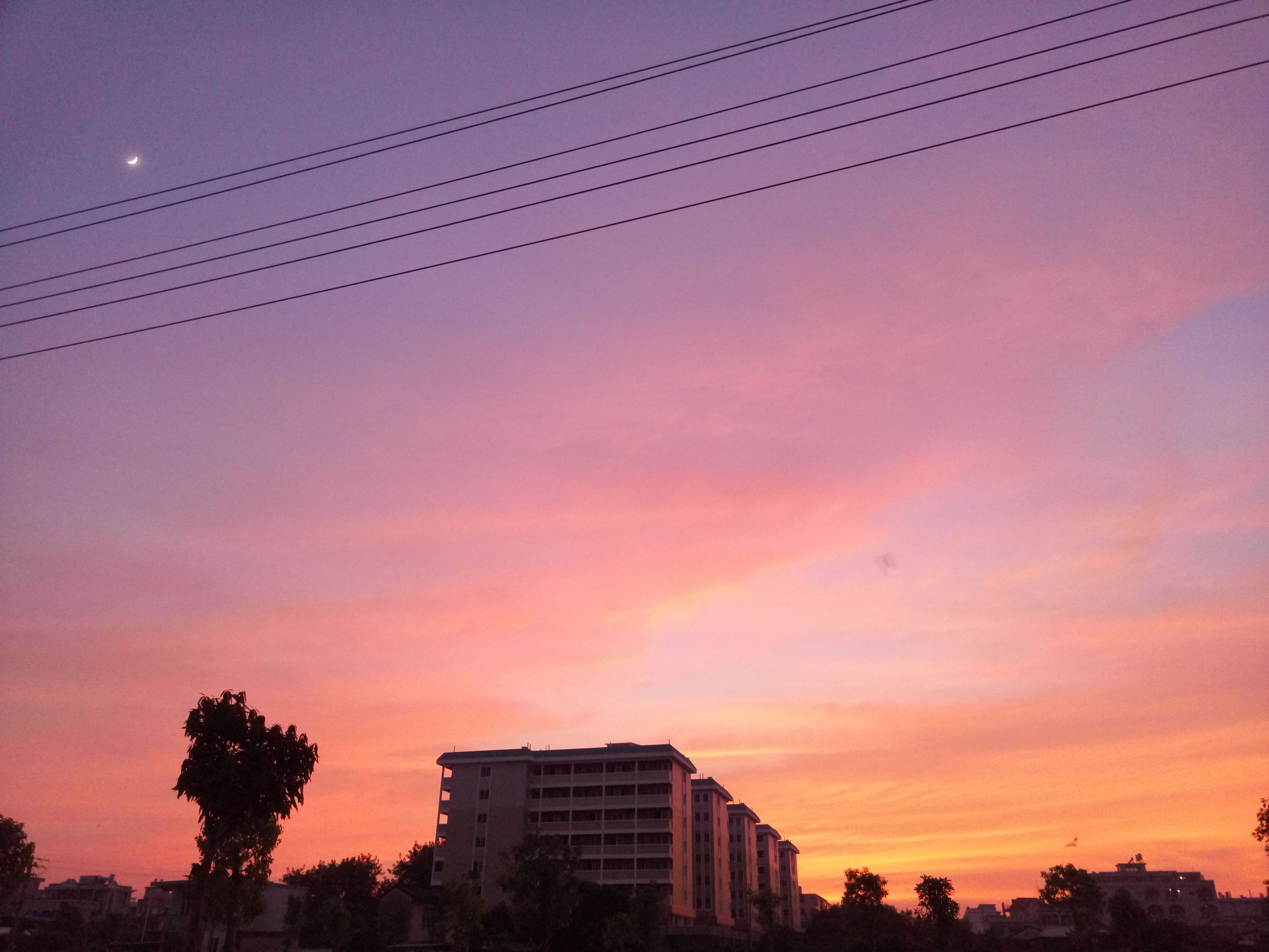 金立翻盖手机w909哪年上市,金立翻盖款w919开箱