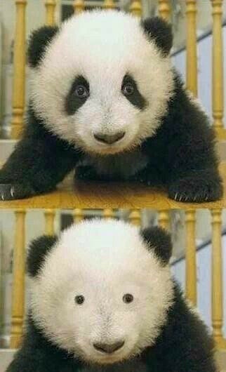 夏天想瘦下来,夏天想要瘦