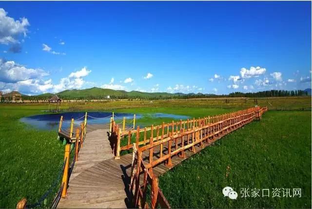 对不起,五一我就呆在张家口!别再约我了!