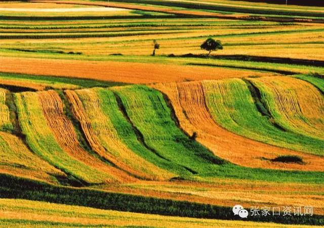 对不起,五一我就呆在张家口!别再约我了!