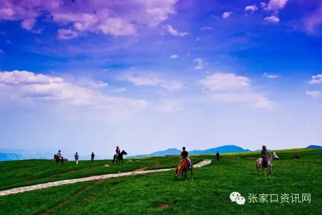 对不起,五一我就呆在张家口!别再约我了!