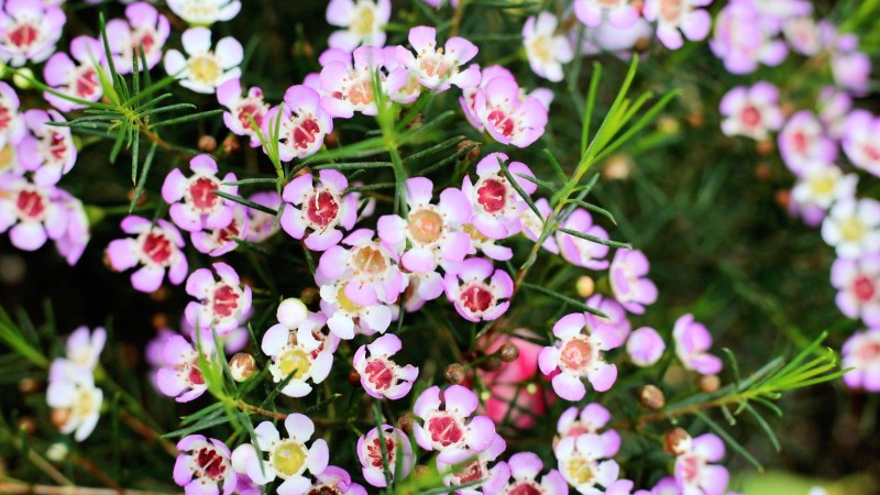 全过程记录，揭秘廉价济州岛跟团游背后的真相