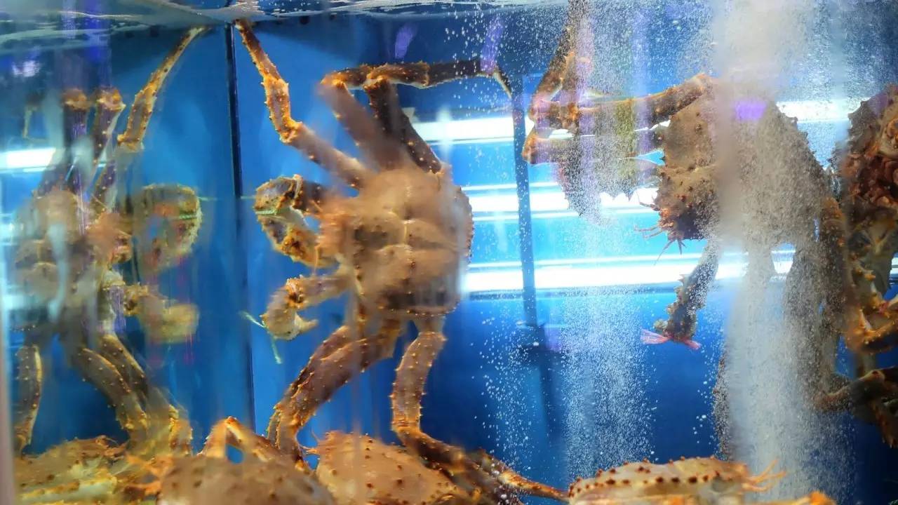 全过程记录，揭秘廉价济州岛跟团游背后的真相