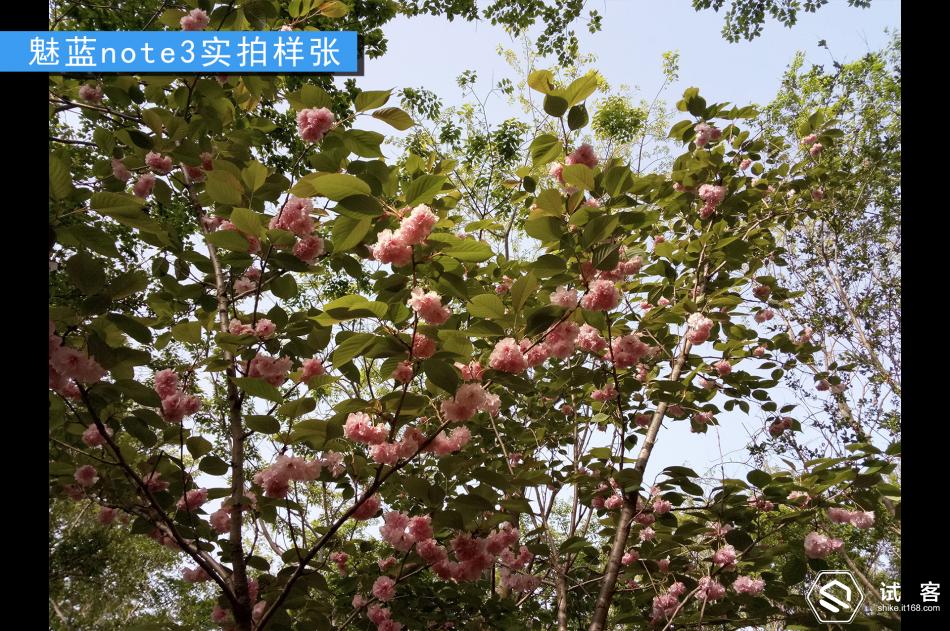 续航持久不发热手机,魅蓝note3续航