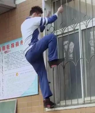 顾海白和洛因小说作者,顾海白和洛因重逢