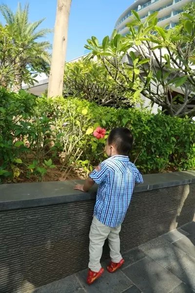 五天四晚亲子三亚游,许你一片碧海蓝天小说