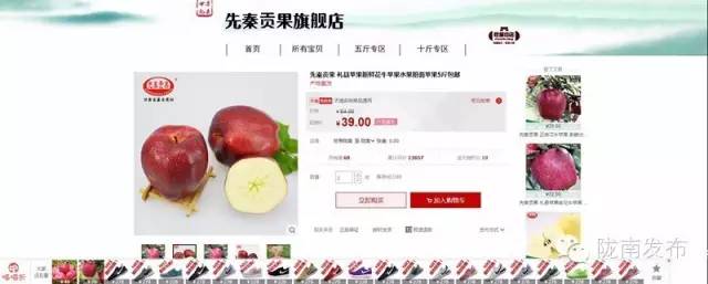 一天时间，陇南电商观摩组看了什么”点“？取了哪些”经“？