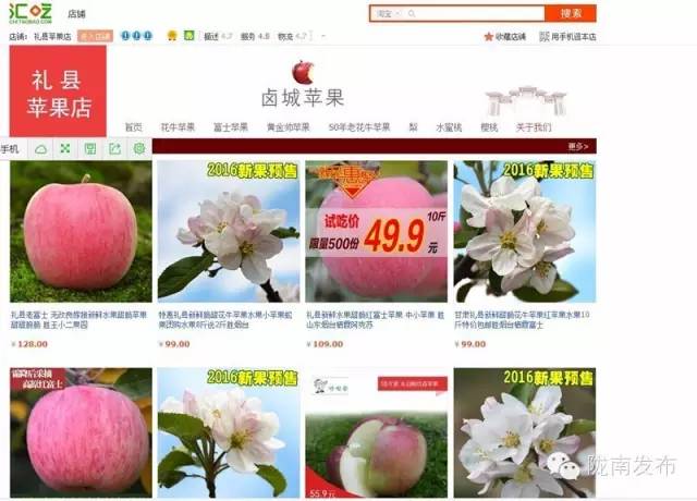 一天时间，陇南电商观摩组看了什么”点“？取了哪些”经“？