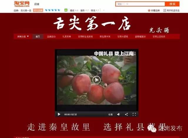 一天时间，陇南电商观摩组看了什么”点“？取了哪些”经“？