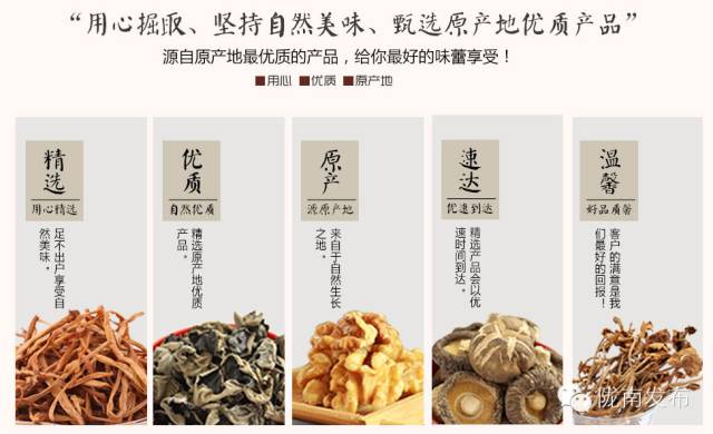 一天时间，陇南电商观摩组看了什么”点“？取了哪些”经“？