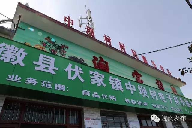 一天时间，陇南电商观摩组看了什么”点“？取了哪些”经“？