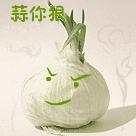 天津四月份种什么菜好吃,这个季节有什么便宜的好吃的蔬菜