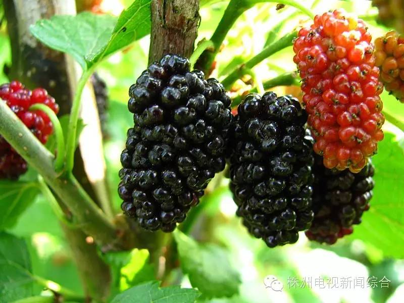 五一小长假还在等什么,五一还没想好去哪里