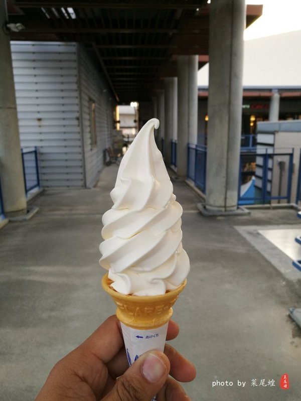 珊瑚海日本,陪你去看海底世界