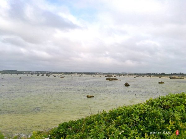 珊瑚海日本,陪你去看海底世界