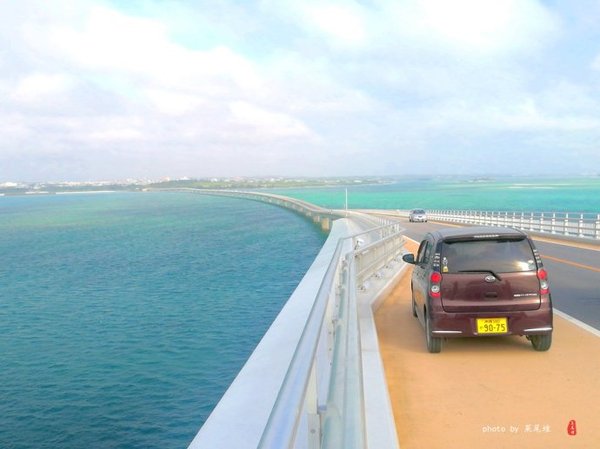 珊瑚海日本,陪你去看海底世界