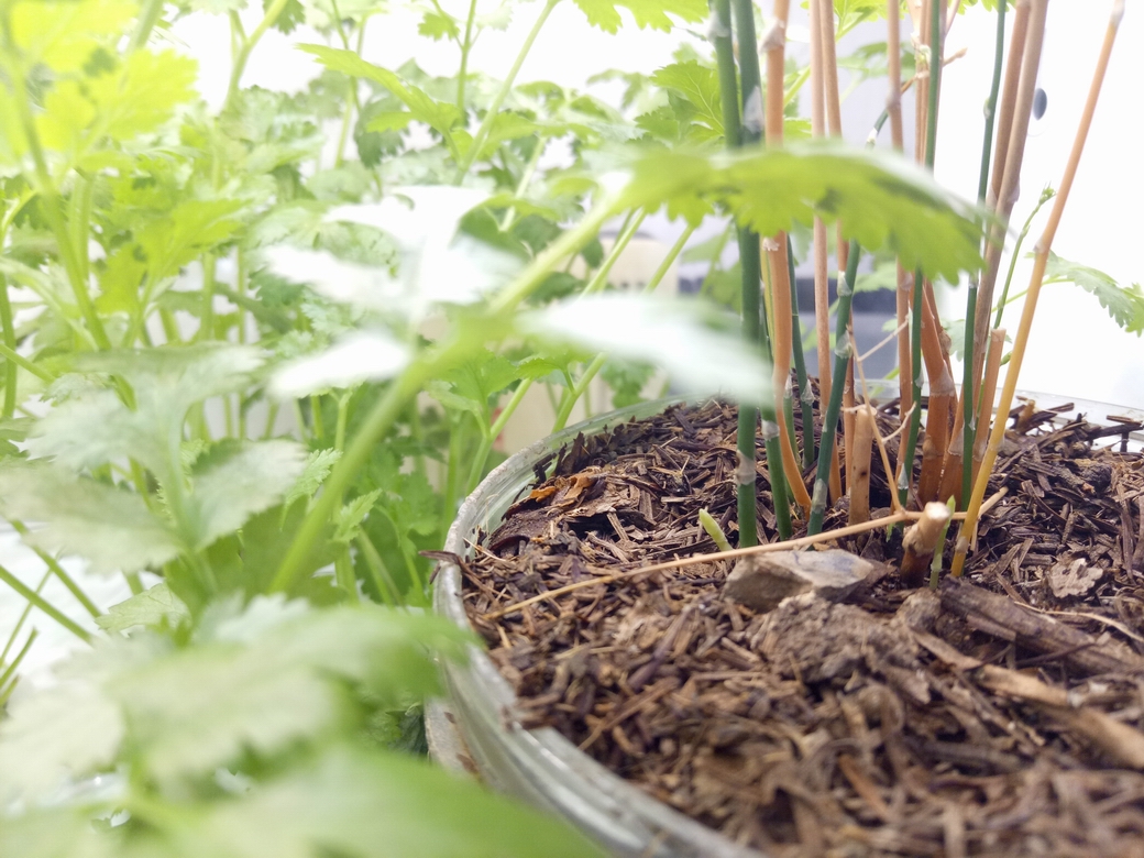 oppor9现在使用感受 (深度了解oppor9)